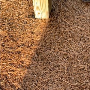 Meet your Posher, Erick